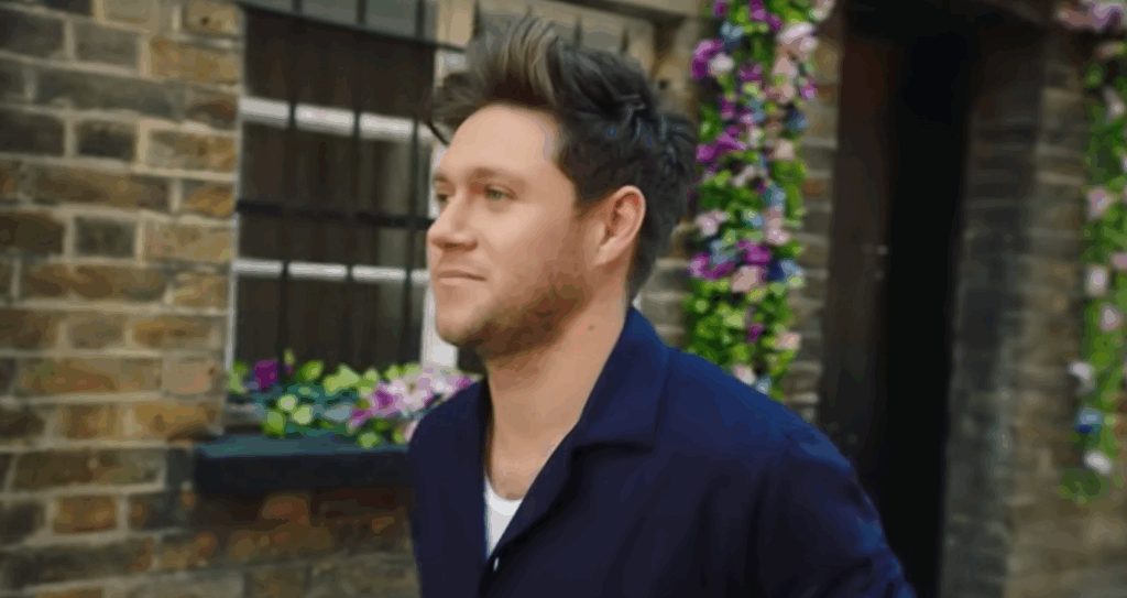 Niall Horan Girlfriend